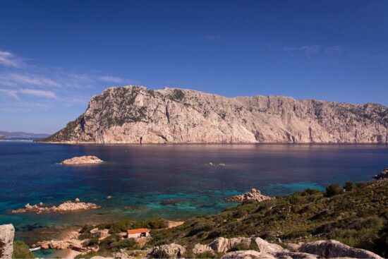 Escursione Isola Molara Sardegna esperienze