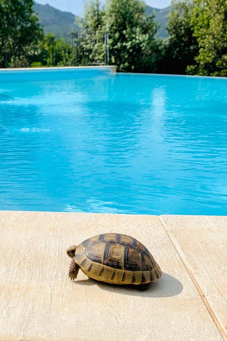 Piscina Villa Anastasia Hotel fronte mare